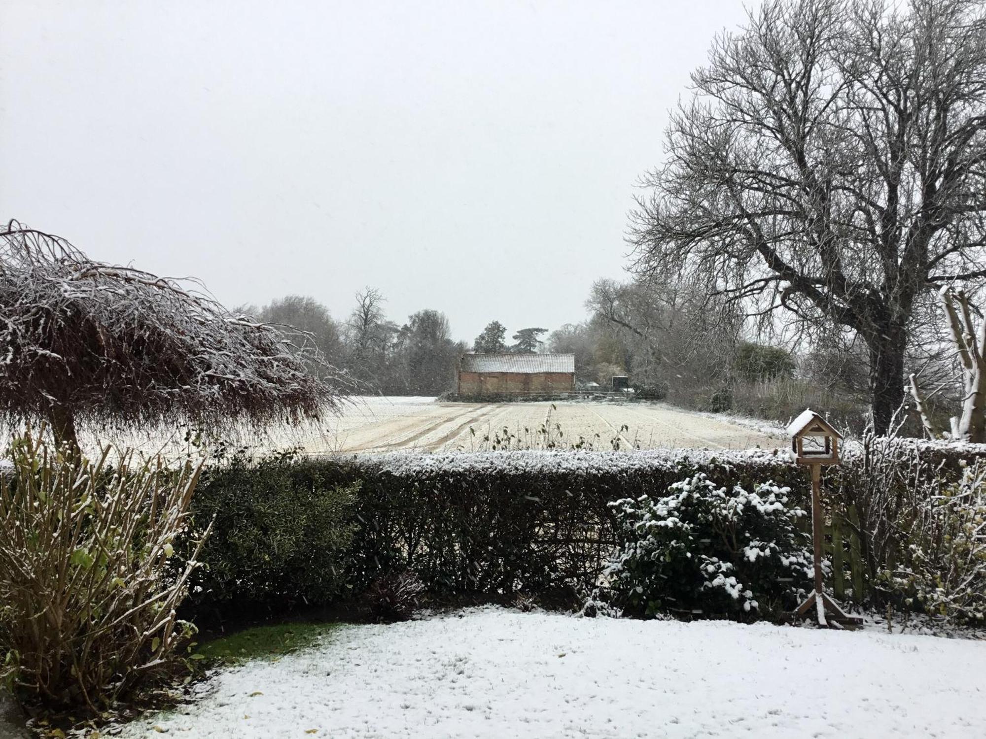 Greenbank Cottage Hilgay Esterno foto
